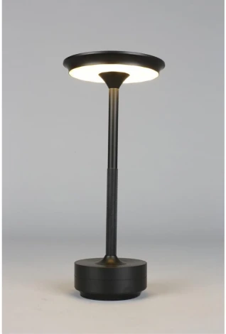 Настольная лампа светодиодная Aployt Markel APL.064.24.05 (220V)