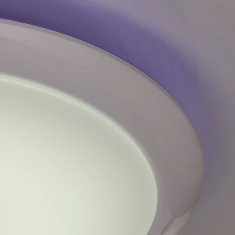 Потолочный светильник MW-Light Ривз 674014301