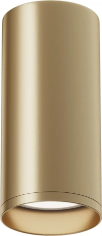 Потолочный светильник Focus GU10 1x50Вт Maytoni Technical C010CL-01MG (220V, круглые)