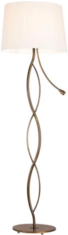 Торшер для чтения Lussole Loft Ajo LSP-0552 (220V, IP21)