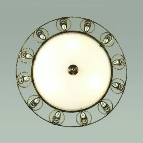 Настенно-потолочный светильник Odeon Light Kanti 3484/2C