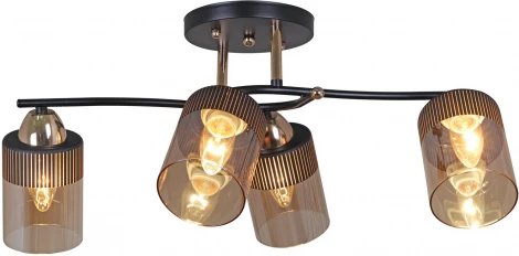 Потолочная люстра на штанге Reluce 09131-3.3-04 FG+BK (220V)