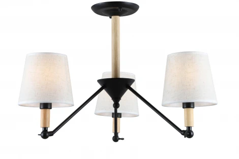 Потолочная люстра Rivoli Buono 2048-303