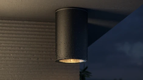 Уличный потолочный светильник Maytoni Roll O307CL-01B (220V, круглые, IP54)