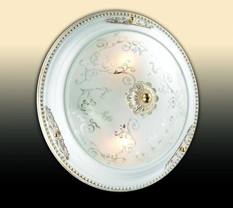 Настенно-потолочный светильник Odeon Light Corbea 2670/2C