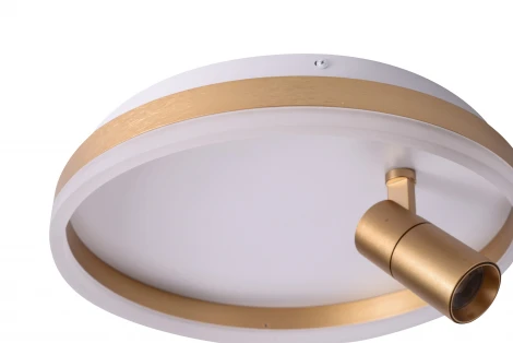 Потолочный светильник круглый со спотом Zortes Raizy ZRS.1888.04 (LED, 220V, круглые)