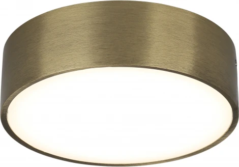 Потолочный светильник круглый Aployt Evon APL.0114.29.12 (LED, 220V, круглые)