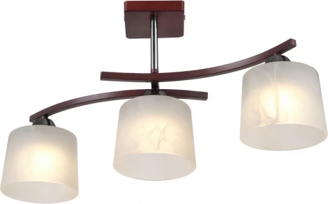 Потолочная люстра на штанге Мелодия Света SS1N 000024061