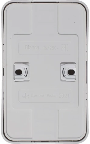 Розетка накладная двойная без заземления (белый) Systeme Electric Blanca BLNRA000211