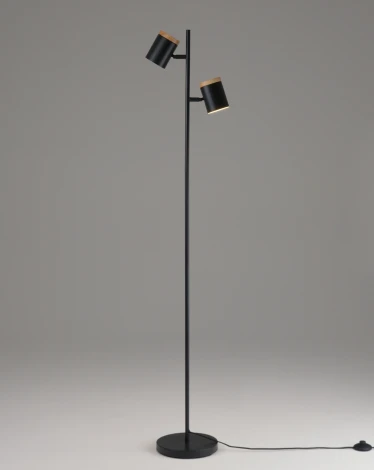 Торшер с выключателем Moderli Asheswood V11287-2F (220V)