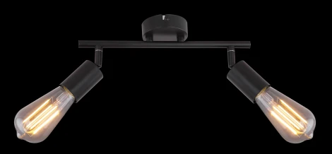 Спот Globo Martha 54008-2 (220V)