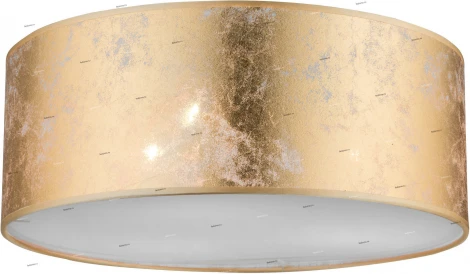 Потолочный светильник Globo Amy 15187D