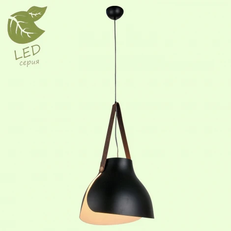 Подвесной светильник Lussole Loft Huntington GRLSP-9842