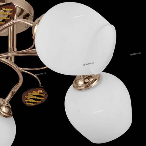 Natali Kovaltseva 11456 11456/5C FRENCH