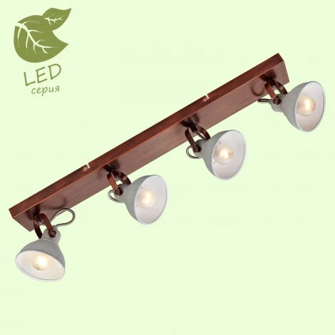 Спот Lussole Loft Durango GRLSP-9829 (220V, IP21)