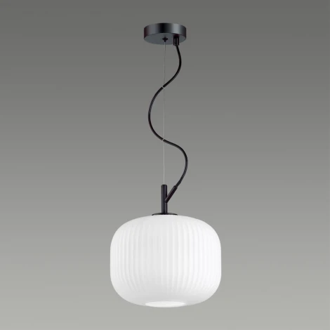 Подвесной светильник Odeon Light Roofi 4753/1 (220V, на тросе)