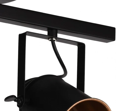 Спот на штанге Neider 3015/02/02C (220V)