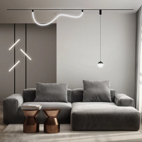 Трековый светильник с гибким неоном 220 Denkirs Smart Ray DK8060-BK (LED, пульт управления)