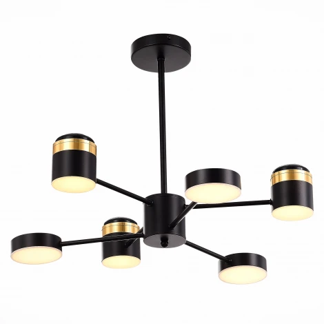 Потолочная люстра на штанге Evoluce Tezze SLE6007-402-06