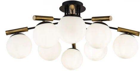 Потолочная люстра Freya Paolina FR5011CL-08B (220V, шарики)