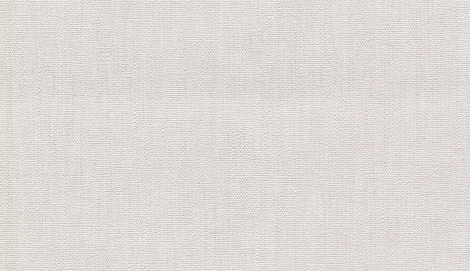 Обои виниловые Marburg Project 31838 10,05 x 0,53 м