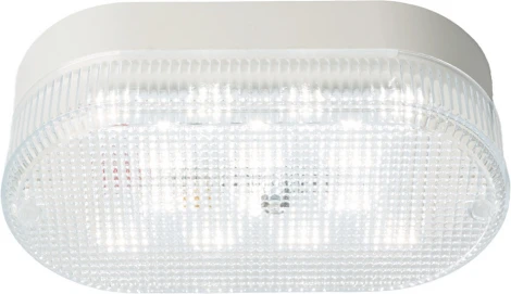 Светодиодный светильник накладной настенно-потолочный 12Вт Feron Овал 51511 (220V, IP53)