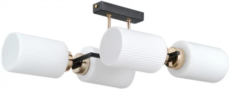 Потолочная люстра на штанге ILLUMICO IL0809-4ASQ-25 BK AB NAPLES (220V)