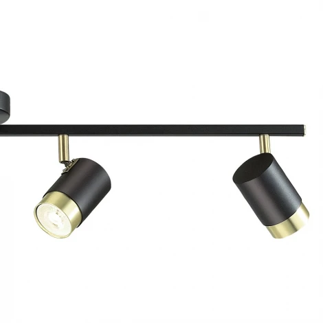 Спот Lumien Hall Sauris LH8020/4C-BK-GD