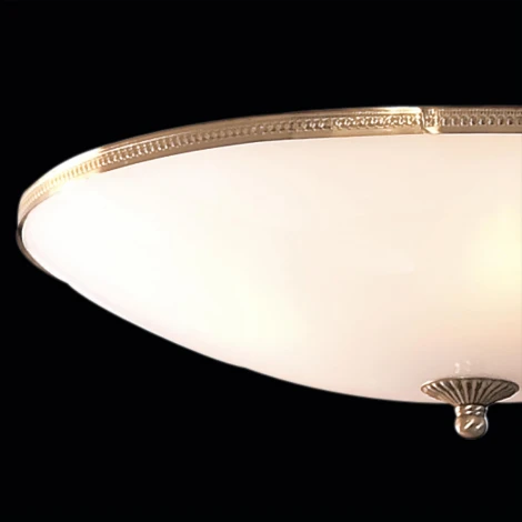 Потолочный светильник Citilux 912 CL912500