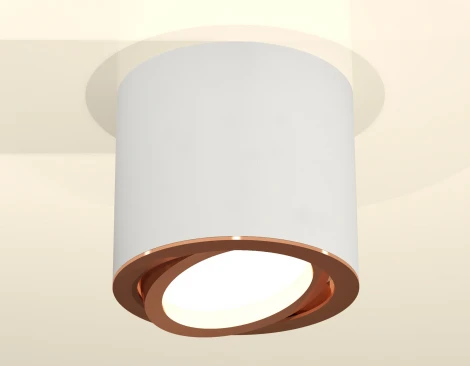 Накладной точечный светильник Ambrella Techno XS7401005 (220V, круглые)