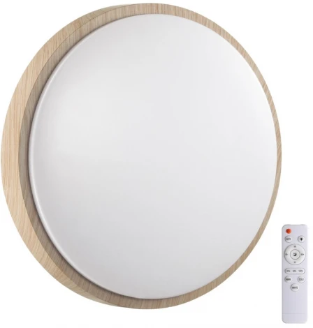 Настенно-потолочный светильник Losta 7607/EL Sonex (регулировка яркости, LED, 220V, пульт управления, круглые, IP43)