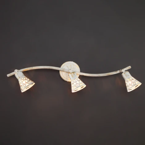 Спот Eurosvet 20027 20027/3 белый с золотом