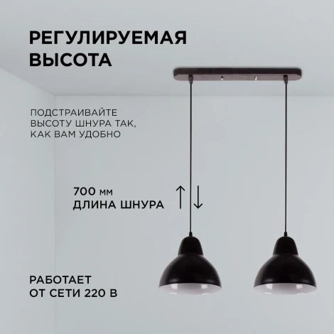 Подвесной светильник 2хЕ14 мах 40Вт металл черный (2019/2) Apeyron 16-67