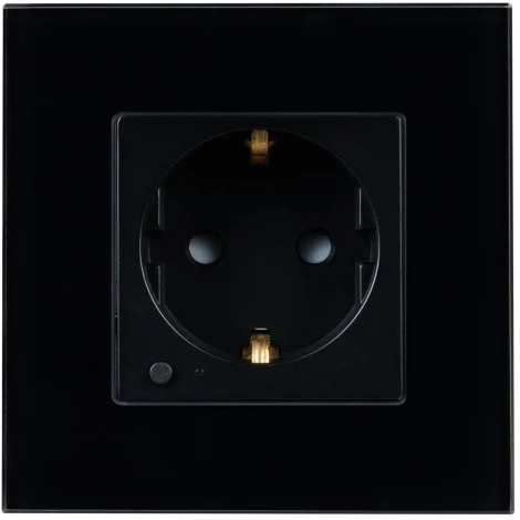 Розетка электрическая с Zigbee управлением SCT-OMALI-EUZB1-PL-BK (240V, 16A, Zigbee) (Arlight) 050216