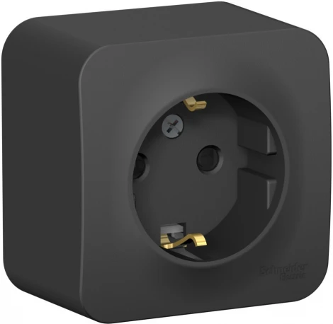 Розетка накладная с заземлением и шторками (антрацит) Systeme Electric Blanca BLNRA011116