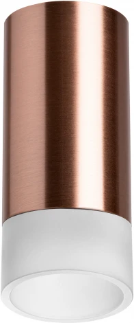 Точечный накладной светильник Lightstar Rullo R43031 (220V, круглые)