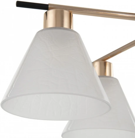 Потолочная люстра на штанге Arte Milano Napoli 322119/3 FG+BK (220V)