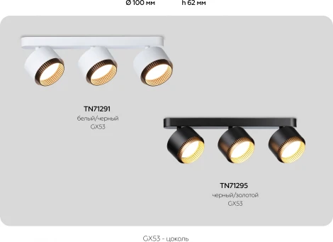 Спот настенно-потолочный поворотный Ambrella Techno Spot TN71295 (220V)