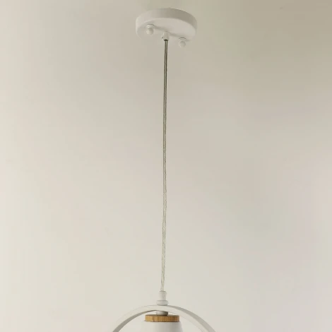 Подвесной светильник F-Promo Uccello 2939-1P (220V, на проводе, кольцо, птички)