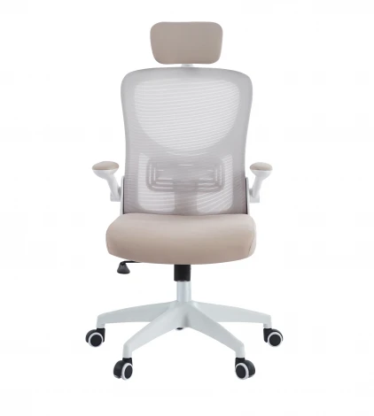 Офисное кресло Chairman CH633 белый пластик, бежевый