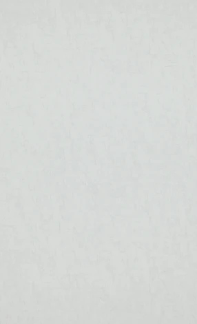 Рулонные обои BN International BN 17115