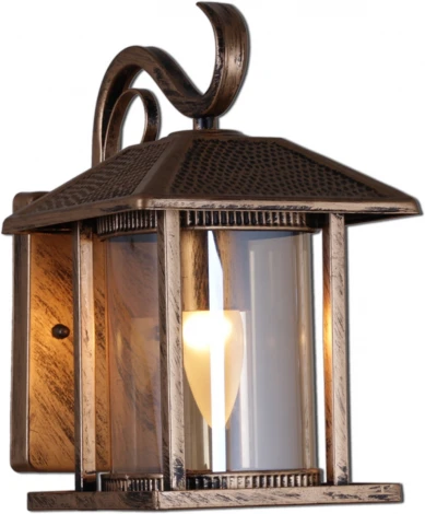 Настенный фонарь уличный Reluce 08287-9.2-001U BKG (220V, фонарь, IP44)