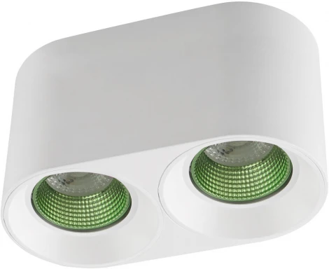 Накладной точечный светильник Denkirs DK3096-WH+GR