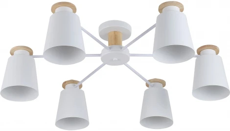 Потолочная люстра на штанге Ritter Volante 52443 4