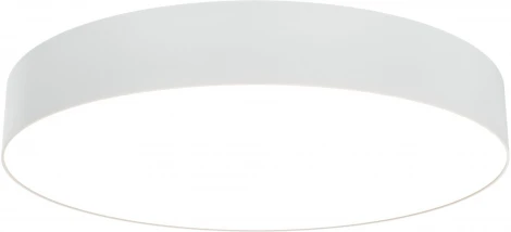 Потолочный светильник Zon 3000K 1x45Вт 120° LED Maytoni Technical C032CL-L48W3K