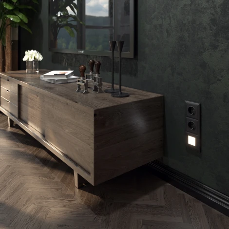 Розетка с заземлением (черный матовый) Werkel W1171008 (a051600)