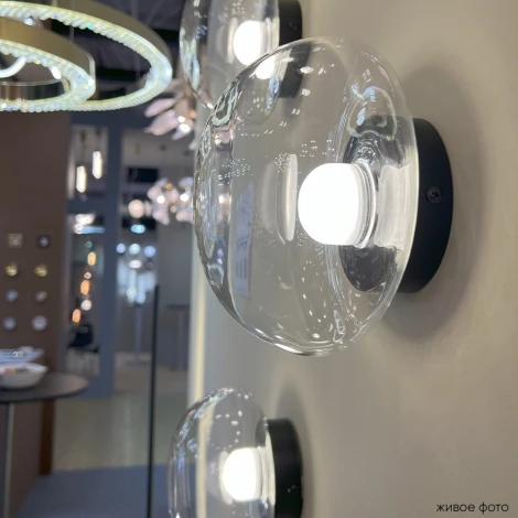 Настенный светильник Crystal Lux BOSQUE AP1 BLACK/TRANSPARENT (LED, 220V)