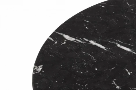 Кофейный стол Tulip Marble H52 Белый матовый Мрамор китайский черный