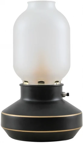 Интерьерная настольная лампа Lussole Anchorage LSP-0568