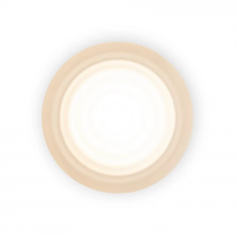 Настенный светильник светодиодный Freya Retro FR5603WL-L8W1